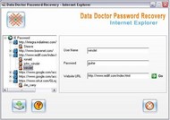 IE Password Viewer Tool screenshot